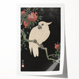 Vintage Animal Art - White Parrot with Pomegranates - Retro Animal Prints
