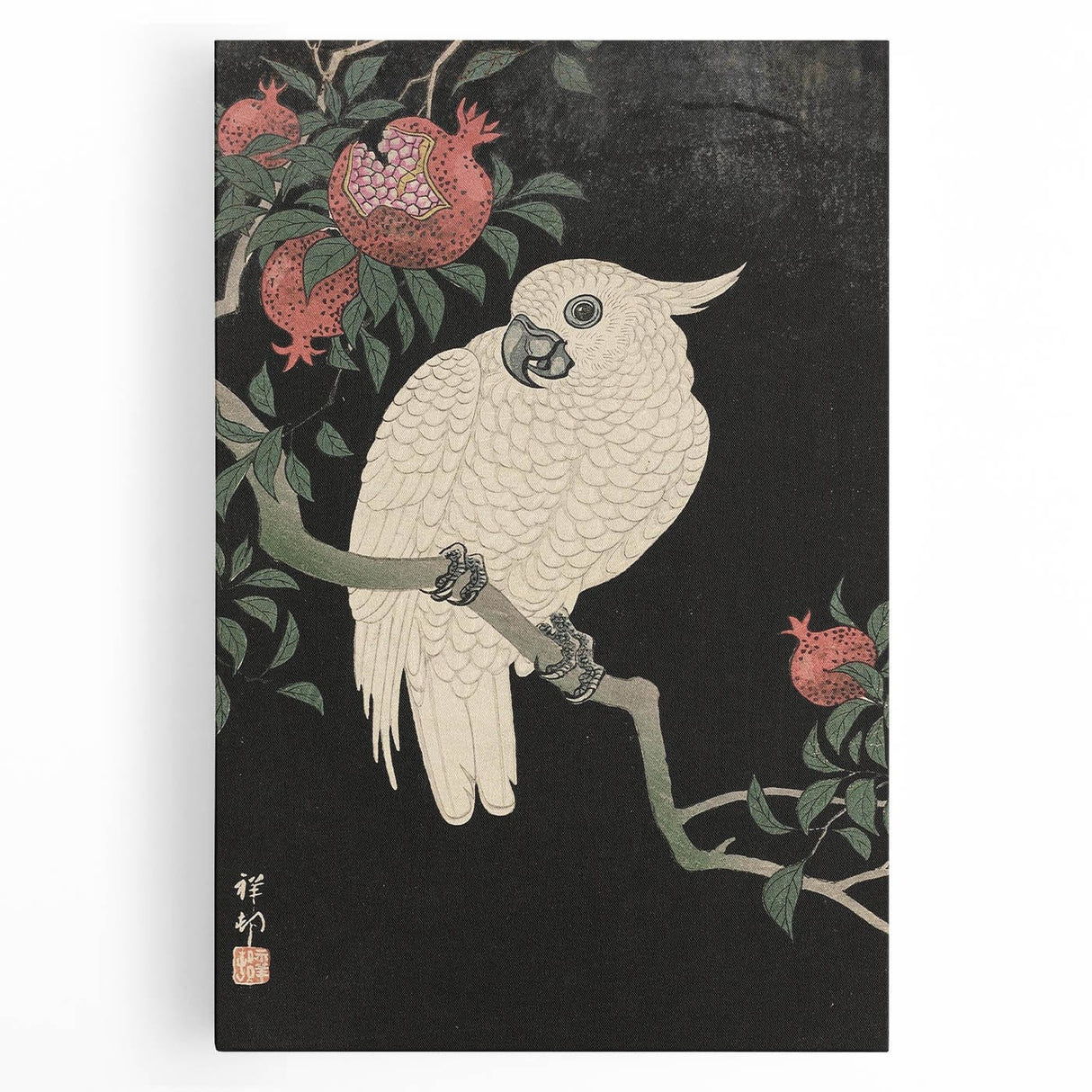 Vintage Animal Art - White Parrot with Pomegranates - Retro Animal Prints