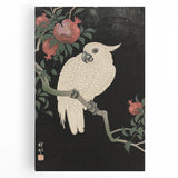 Vintage Animal Art - White Parrot with Pomegranates - Retro Animal Prints