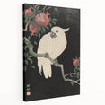 Vintage Animal Art - White Parrot with Pomegranates - Retro Animal Prints