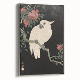 Vintage Animal Art - White Parrot with Pomegranates - Retro Animal Prints