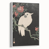 Vintage Animal Art - White Parrot with Pomegranates - Retro Animal Prints