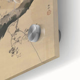 Vintage Animal Art - Hawk on Branch - Retro Animal Prints