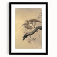 Vintage Animal Art - Hawk on Branch - Retro Animal Prints