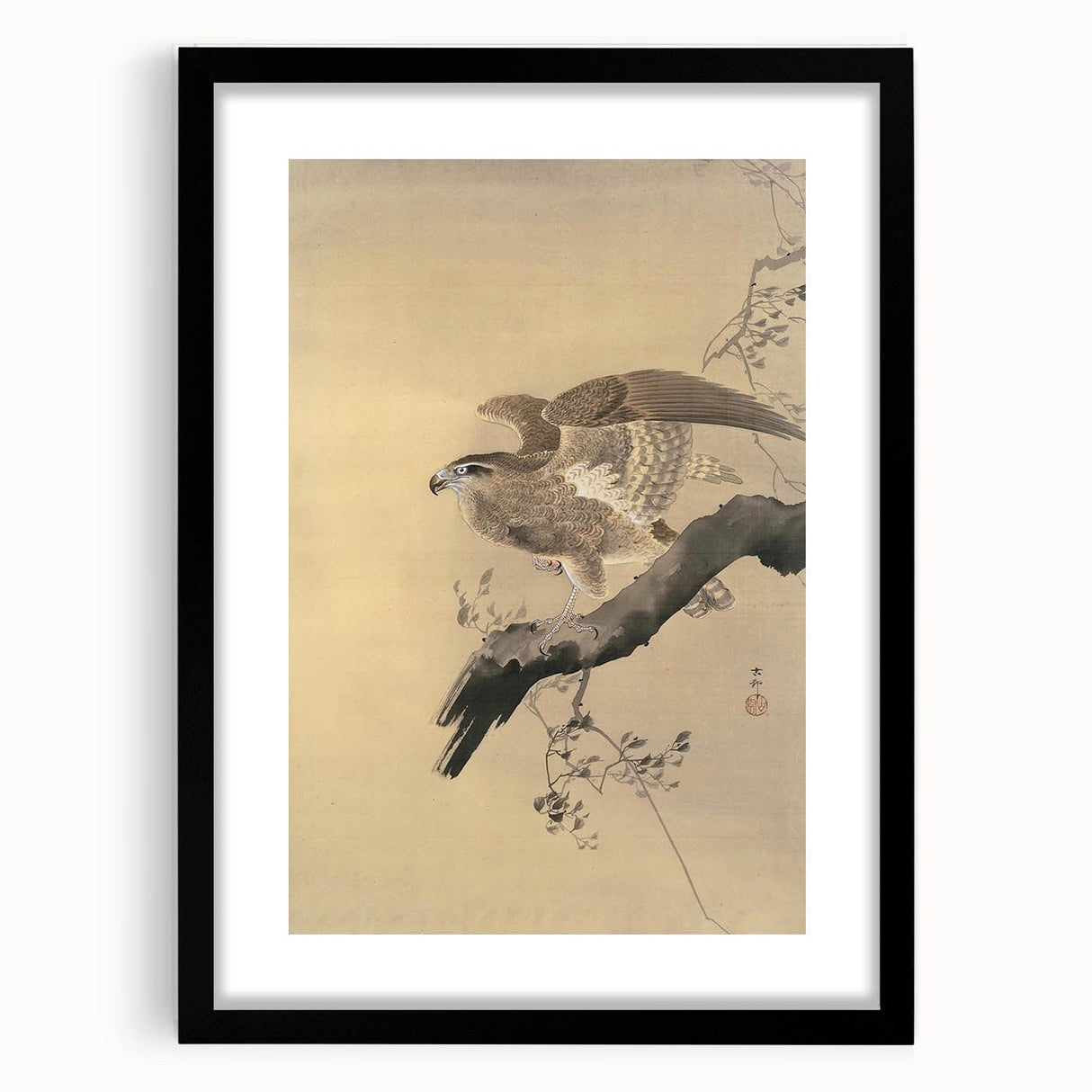 Vintage Animal Art - Hawk on Branch - Retro Animal Prints