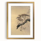 Vintage Animal Art - Hawk on Branch - Retro Animal Prints