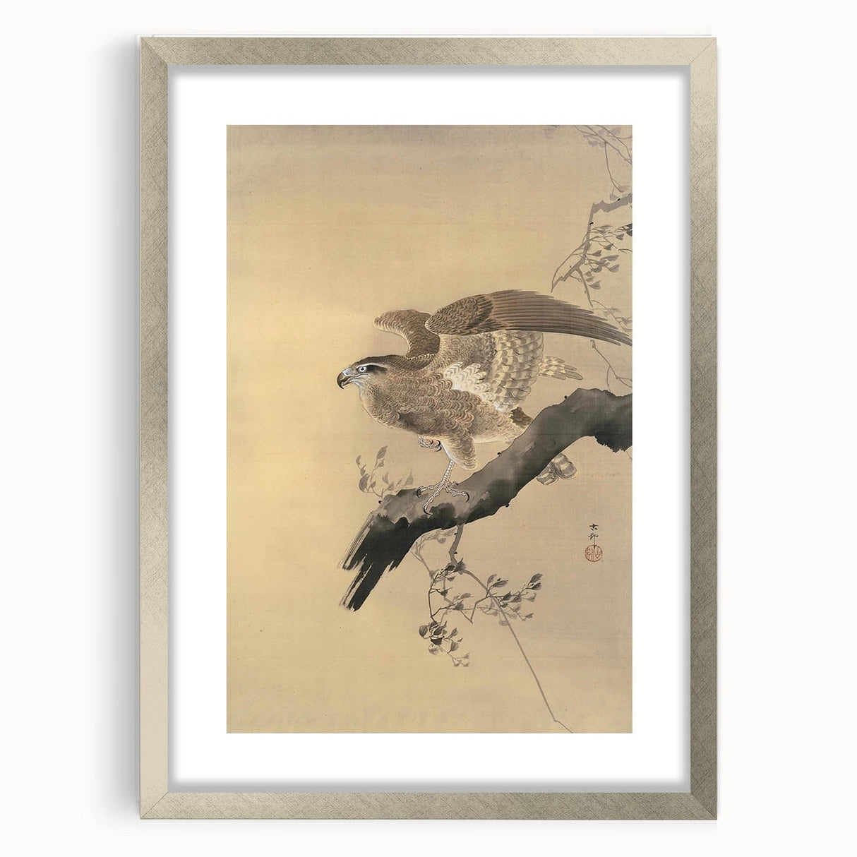 Vintage Animal Art - Hawk on Branch - Retro Animal Prints