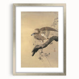 Vintage Animal Art - Hawk on Branch - Retro Animal Prints