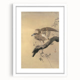 Vintage Animal Art - Hawk on Branch - Retro Animal Prints