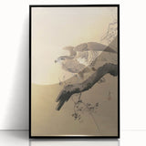 Vintage Animal Art - Hawk on Branch - Retro Animal Prints