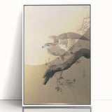 Vintage Animal Art - Hawk on Branch - Retro Animal Prints