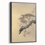 Vintage Animal Art - Hawk on Branch - Retro Animal Prints
