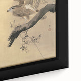 Vintage Animal Art - Hawk on Branch - Retro Animal Prints