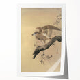 Vintage Animal Art - Hawk on Branch - Retro Animal Prints