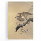 Vintage Animal Art - Hawk on Branch - Retro Animal Prints