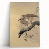 Vintage Animal Art - Hawk on Branch - Retro Animal Prints