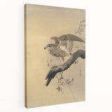 Vintage Animal Art - Hawk on Branch - Retro Animal Prints
