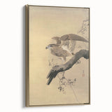 Vintage Animal Art - Hawk on Branch - Retro Animal Prints