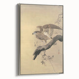 Vintage Animal Art - Hawk on Branch - Retro Animal Prints
