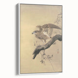 Vintage Animal Art - Hawk on Branch - Retro Animal Prints