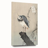 Vintage Animal Art - Perched Bird on Branch - Retro Animal Prints