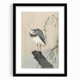 Vintage Animal Art - Perched Bird on Branch - Retro Animal Prints