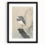 Vintage Animal Art - Perched Bird on Branch - Retro Animal Prints