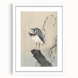 Vintage Animal Art - Perched Bird on Branch - Retro Animal Prints