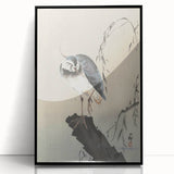 Vintage Animal Art - Perched Bird on Branch - Retro Animal Prints
