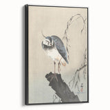 Vintage Animal Art - Perched Bird on Branch - Retro Animal Prints