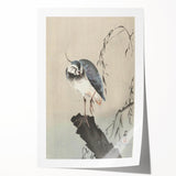 Vintage Animal Art - Perched Bird on Branch - Retro Animal Prints