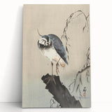 Vintage Animal Art - Perched Bird on Branch - Retro Animal Prints