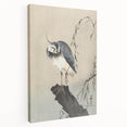 Vintage Animal Art - Perched Bird on Branch - Retro Animal Prints
