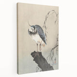 Vintage Animal Art - Perched Bird on Branch - Retro Animal Prints