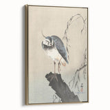 Vintage Animal Art - Perched Bird on Branch - Retro Animal Prints