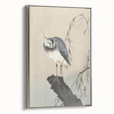 Vintage Animal Art - Perched Bird on Branch - Retro Animal Prints
