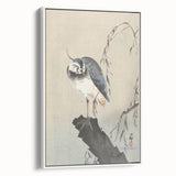 Vintage Animal Art - Perched Bird on Branch - Retro Animal Prints