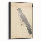 Vintage Animal Art - Hawk in Detail - Retro Animal Prints