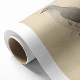 Vintage Animal Art - Hawk in Detail - Retro Animal Prints