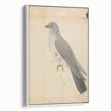 Vintage Animal Art - Hawk in Detail - Retro Animal Prints