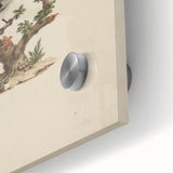 Vintage Animal Art - Birds on Branch - Retro Animal Prints