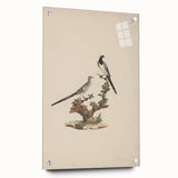 Vintage Animal Art - Birds on Branch - Retro Animal Prints
