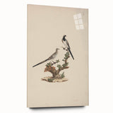 Vintage Animal Art - Birds on Branch - Retro Animal Prints