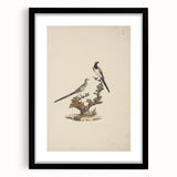 Vintage Animal Art - Birds on Branch - Retro Animal Prints