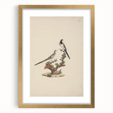 Vintage Animal Art - Birds on Branch - Retro Animal Prints