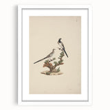 Vintage Animal Art - Birds on Branch - Retro Animal Prints