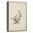 Vintage Animal Art - Birds on Branch - Retro Animal Prints