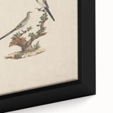 Vintage Animal Art - Birds on Branch - Retro Animal Prints