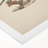 Vintage Animal Art - Birds on Branch - Retro Animal Prints