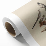 Vintage Animal Art - Birds on Branch - Retro Animal Prints